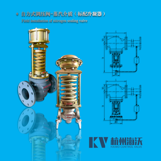 自力（lì）式蒸汽減壓閥-穩（wěn）壓閥-調壓閥-杭州51吃瓜流體控製設備有限公司